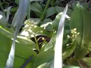 20150416_142857