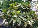 20150420_104608