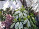 20150420_104624