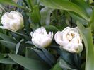 20150416_142952