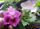 20150420_175114