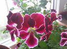 20150420_173627
