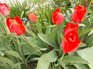 DSCN1056