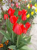 DSCN1057