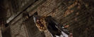 bandicam 2015-04-20 21-57-12-913