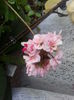 20150421_044001