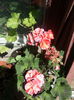 20150421_044555