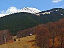 DSC06707