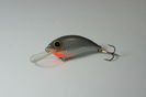 4867 - 4cm - 6g fat