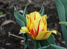 DSC00005