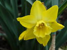 DSC00008