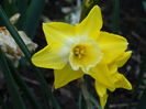 DSC00009
