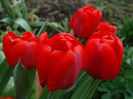DSC00010