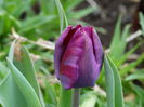 DSC00025