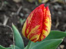 DSC00028