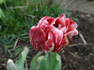 DSC00031