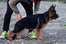 FB_IMG_1429653083188