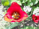DSCN4096