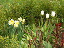 narcise Orangery