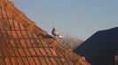20150422_175210