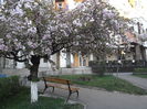 P4220327