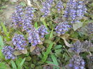 DSCN9281