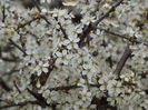 DSC00136