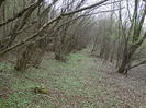 DSC00063