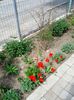 IMG_20150416_115310