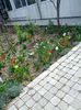 IMG_20150416_115037
