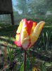 DSCN4234