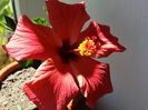 20150423_135409