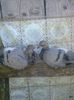 CYMERA_20150423_143618