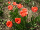 DSCF9480