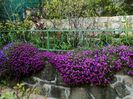 DSC01176