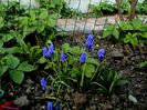 DSC01205