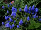 DSC01208