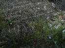 DSC01246