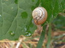 P6251041