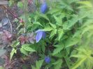 20150423_193859