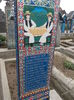 DSCN4236