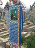 DSCN4241