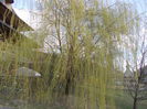 DSCN4314