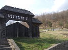 DSCN4334