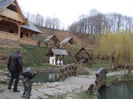 DSCN4373