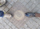 DSCN4538