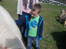 DSCN4646