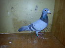 20140416_181001
