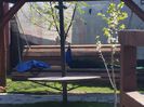 20150424_131212