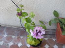 DSCN5447